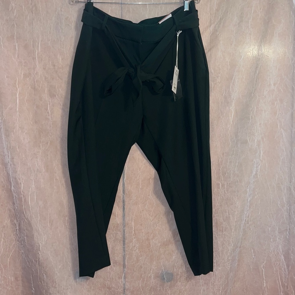 The Allie petite skinny ankle pant plus size 16p